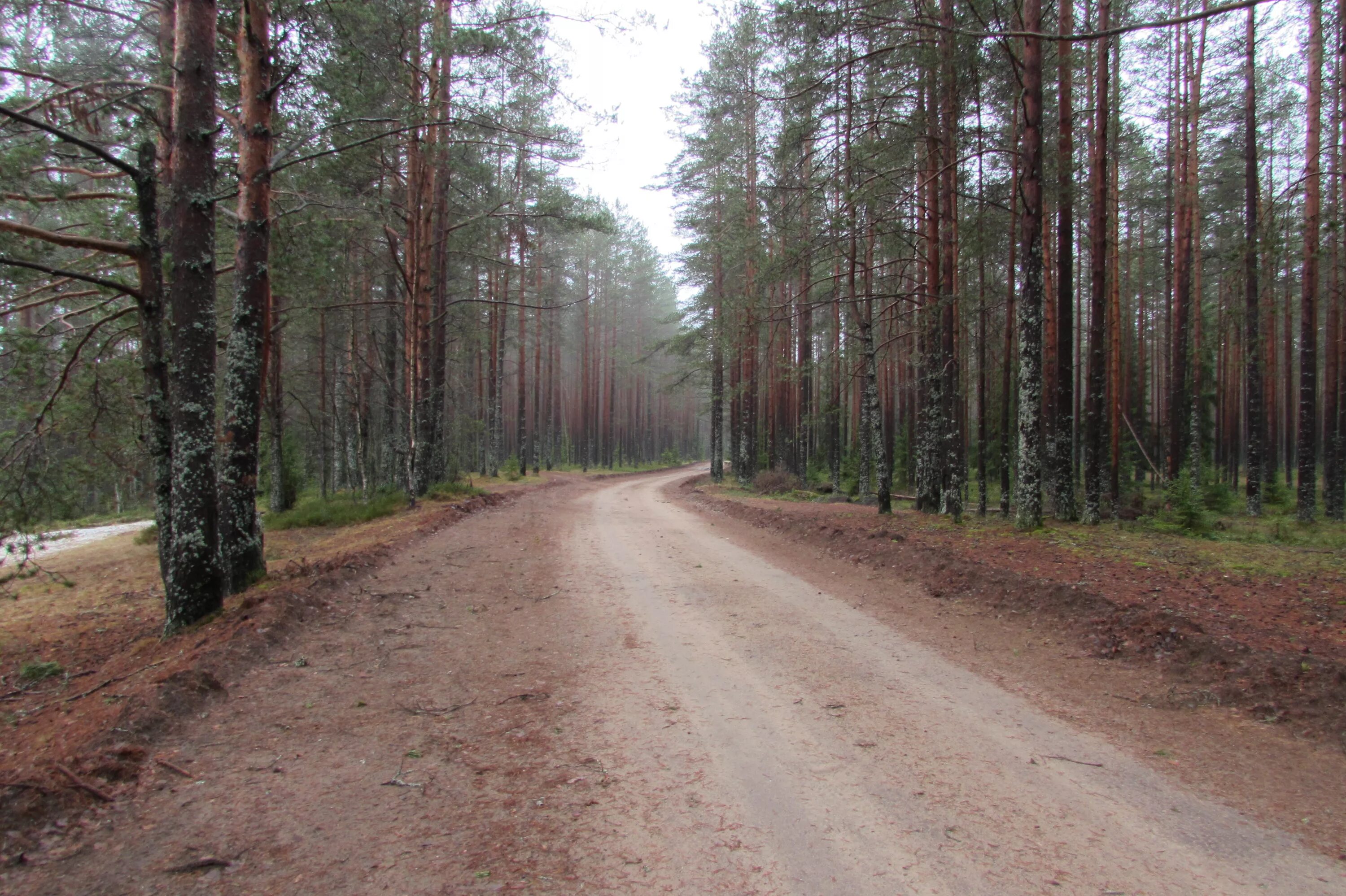карта каменногорска выборгского района ленинградской области. посёлок советский выборгский район. барышево. погода выборгский р н лен. город каменногорск выборгский район.