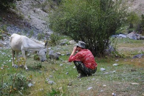 Погода в артуч