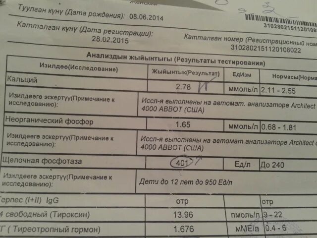 Перед сдачей ттг нужно. ТТГ И т4. Анализы ТТГ т3 т4. Анализ т3. Т4 тироксин Свободный по анализам 20.