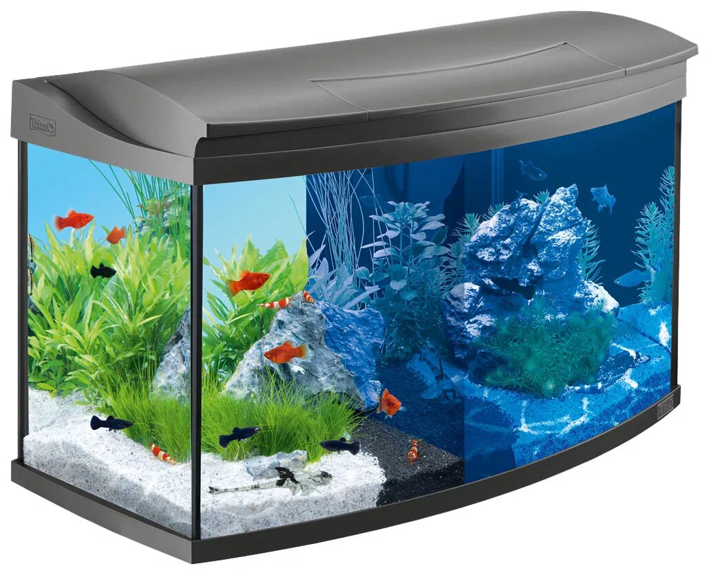 Аквариумы л. Tetra AQUAART 100. Аквариум Tetra 100 литров. Tetra AQUAART. Аквариум Tetra 60 литров.