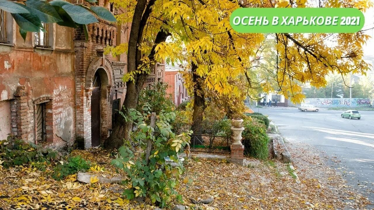Харьков 22 сентября. Красивая осень в харькове. 2025 осень в харькове фото.
