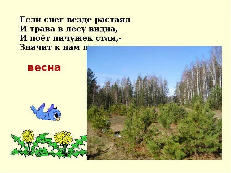Растаявший корень слова. Растаявший снег в лесу. поют корень слова. пичужка проверочное слово. проверочное слово к слову пичужка.