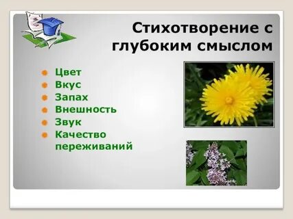 Стих вкус