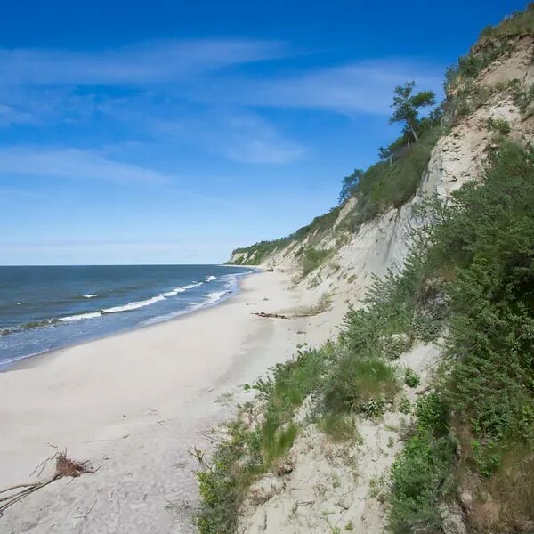 Донское Калининградская область море. Поселок городского типа Донское Калининградской области. Пляж посёлок Донское Калининградская обл. Донское Калининградская область спуск к морю.