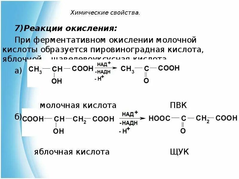 Какая реакция образуется