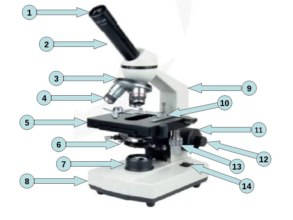 Какую функцию выполняет столик в микроскопе. Микроскоп Микромед 5 строение. Строение микроскопа Микромед-1. Строение микроскопа Микромед 31. Осветительные части микроскопа Микмед 5.