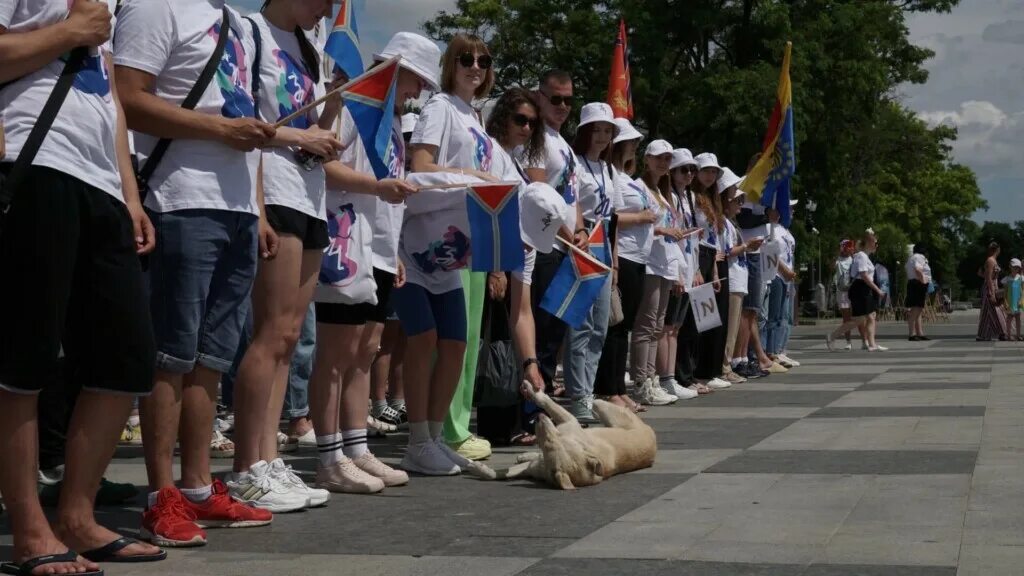 Молодежный фестиваль три четыре волгоград 2025. Фестиваль три четыре волгоград. молодежный фестиваль три четыре. фестиваль три четыре волгоград 2025. тула молодежный фестиваль.