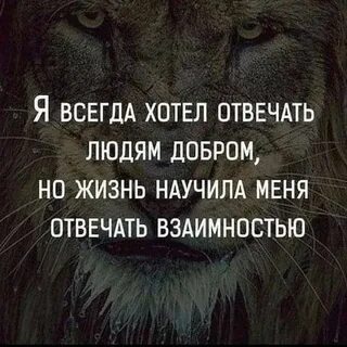 Жизнь научила многому
