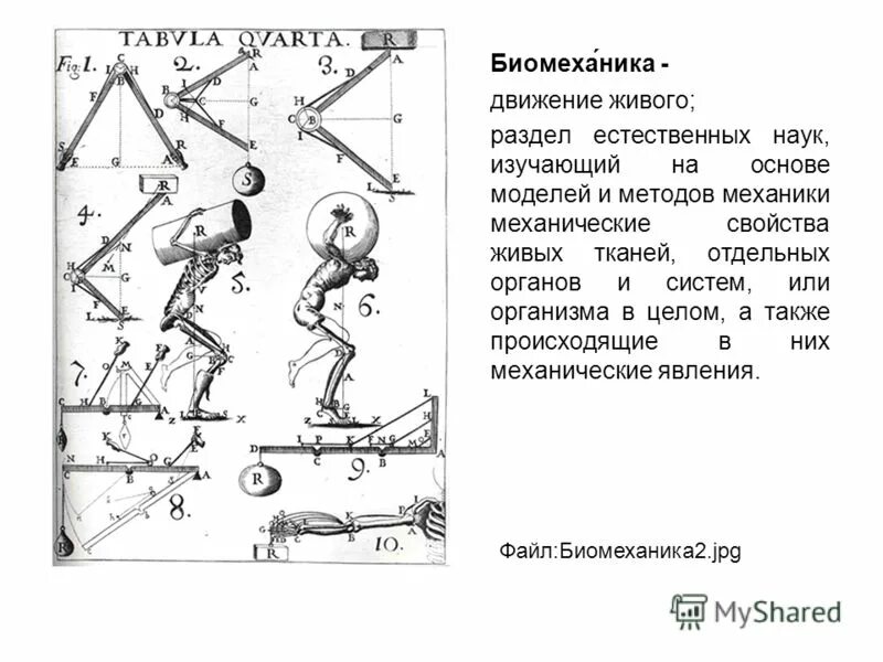 Процесс движения для человека