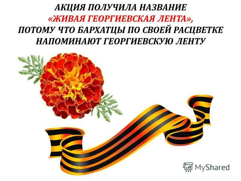 Акция к 9 мая название
