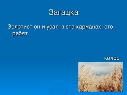 Загадка ребята
