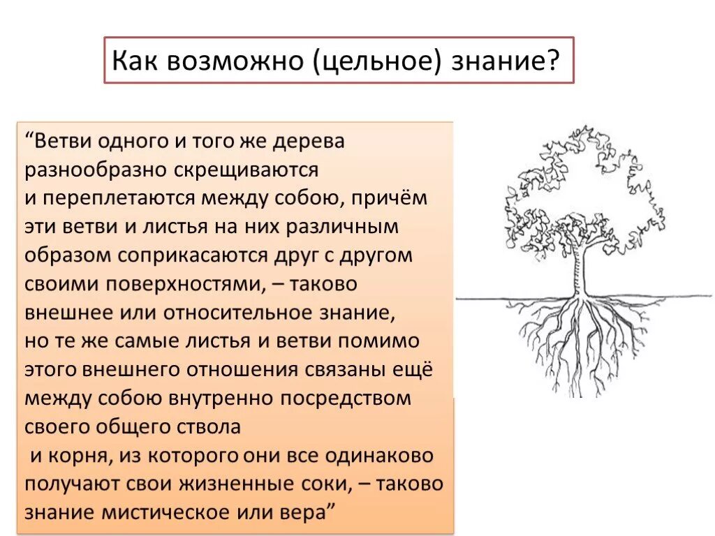 Цельное знание. Цельное знание в философии это.