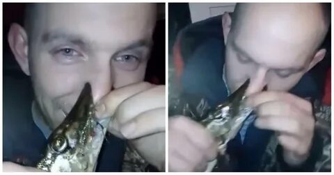 Опасны ди