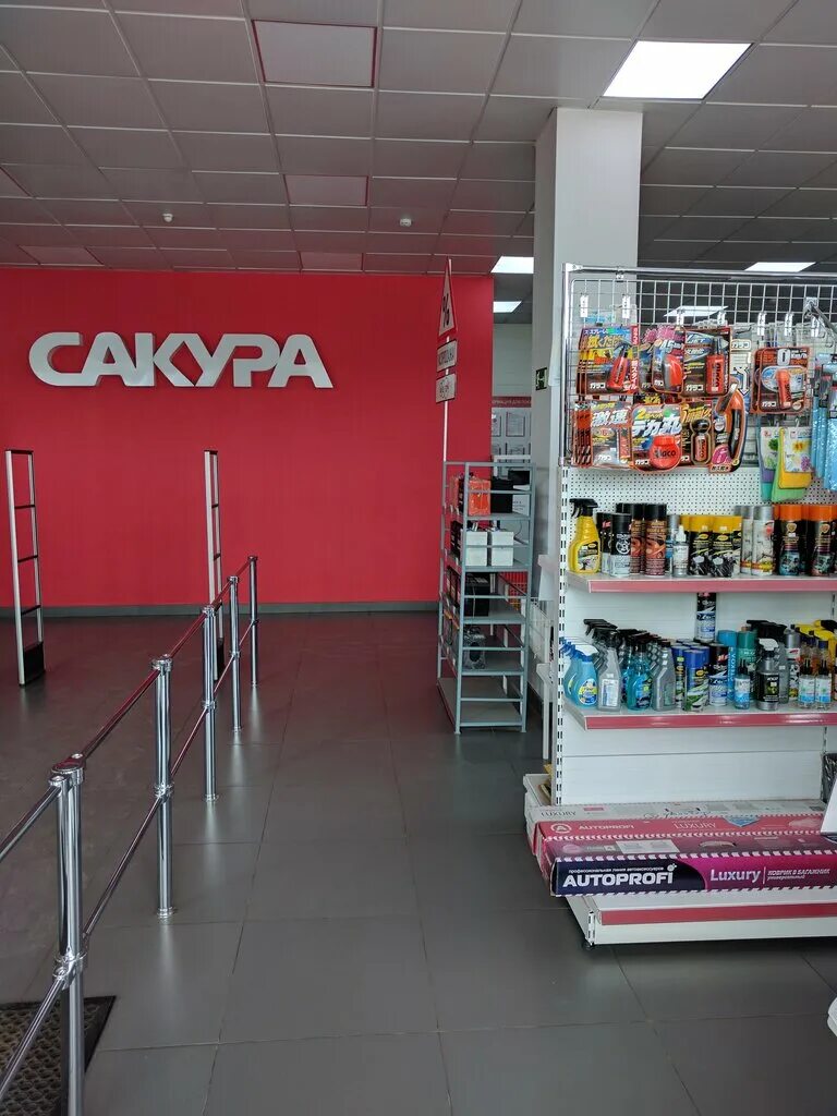 Красноярская сакура. Сакура Моторс. Сакура магазин автозапчастей. Сакура Моторс Красноярск. Сакура Моторс Абакан.