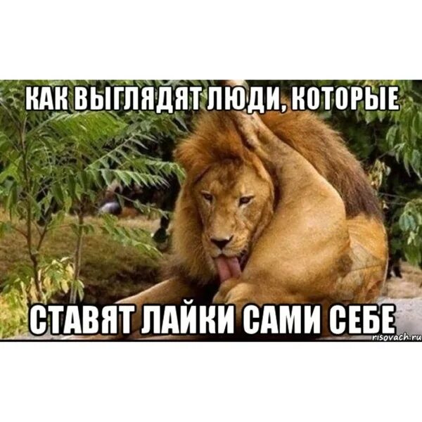 серьезные шутки. ваши комментарии. лайкнул и убрал лайк человек увидит. забрал лайки. поставить лайк.