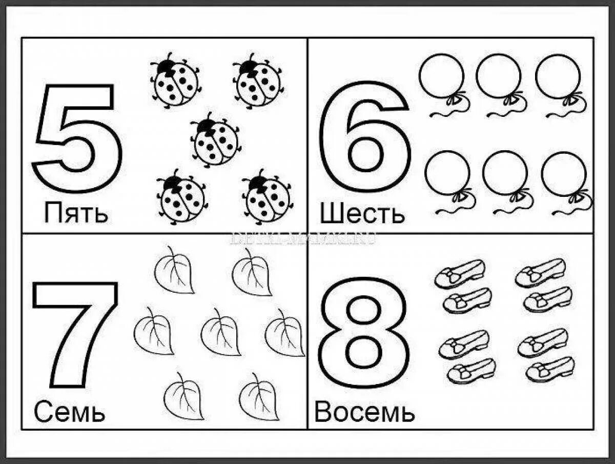 Счет до пяти. Карточки для изучения цифр. Изучение цифр для дошкольников. Цифры для дошкольников в картинках. Счет и цифры для дошкольников.