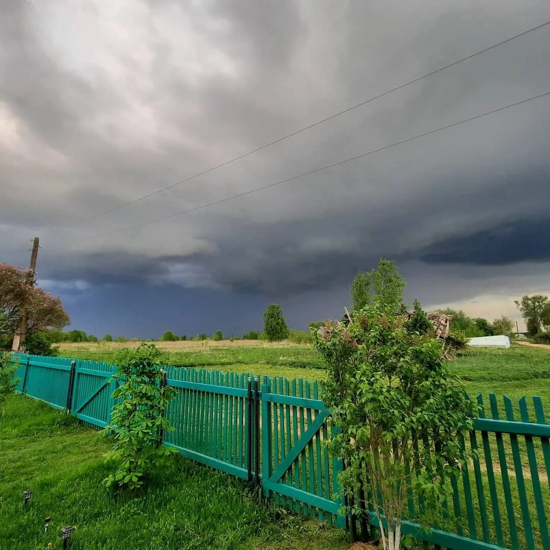 дк хутор маркин. погода в сысоеве. погода в сысоеве. приамурский зоопарк в хабаровске. погода в сысоеве.