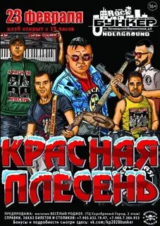 Плесень с 23 февраля
