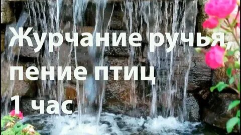 Пением птиц для сна успокаивающая музыка