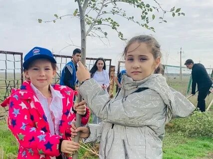Население армянска