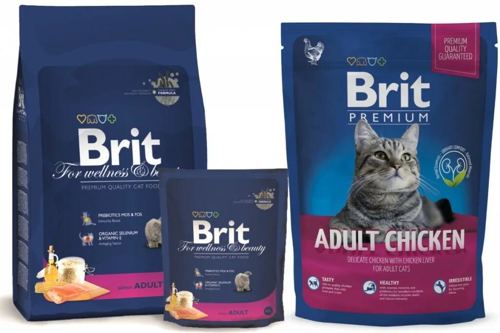 Супер премиум корма для котят. Brit Premium для котят. Сухой корм премиум класса Brit Premium Cat Adult. Brit Premium корм для кошек PNG. Мягкий корм для кошек премиум класса.