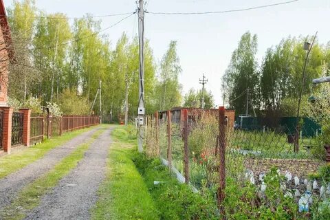 Погода в дубне в ноябре