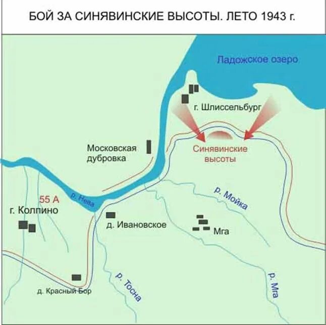 Синявинские высоты 1943. Синявино 1941 год карта. Высота 43.3 Синявино. Синявинские высоты высота 43.3 1943. Высота 43 3