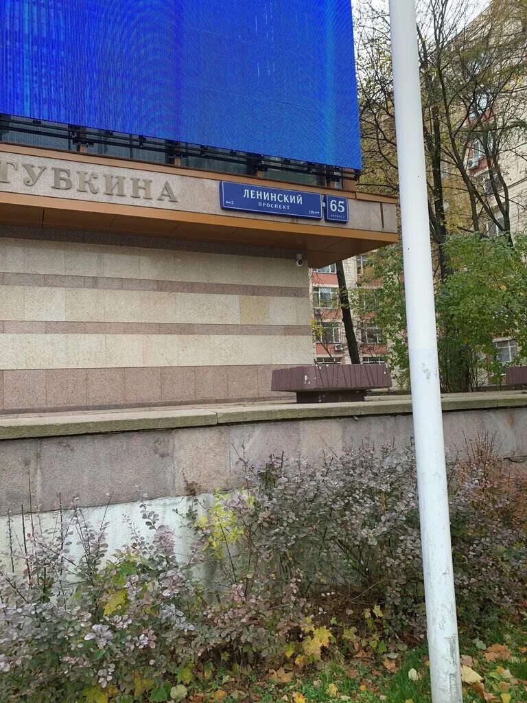 институт нефти и газа им губкина. институт имени губкина факультеты. ргу нефти и газа имени и. институт имени губкина факультеты. институт ргу нефти.