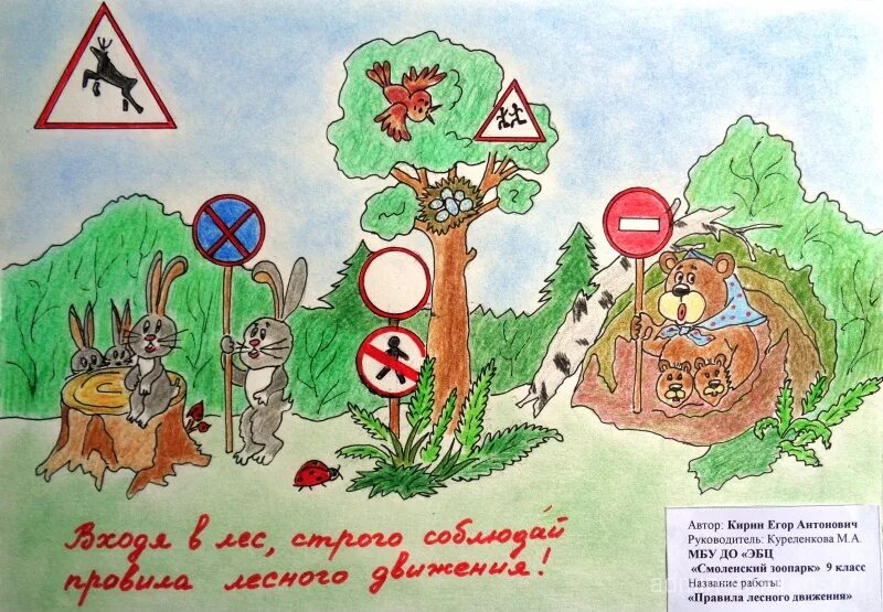 Подведены итоги V областного конкурса исследовательских проектов школьников "Эко