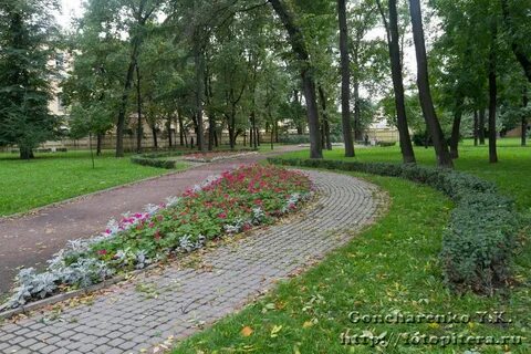 Городской сад 4
