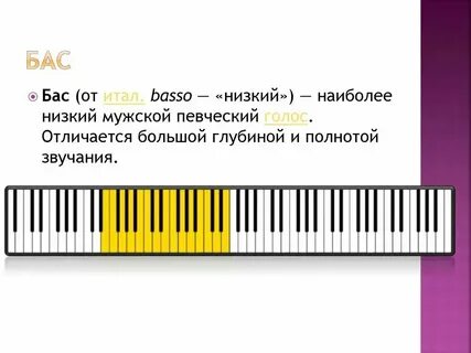 Мужской басс