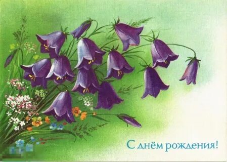 День колокольчика