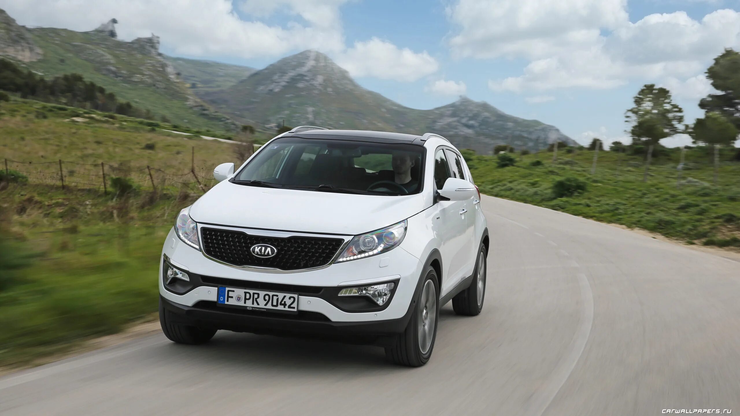 Киа спортейдж 3 видео. Kia Sportage 2014. Киа Спортейдж 2014. Kia Sportage 2015. Kia Sportage 2015 белый.