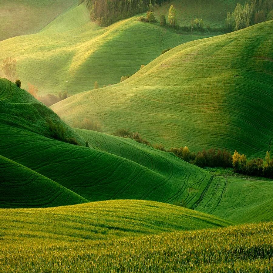 Яркий холм. Green Hills зеленые холмы Ирландии. Зеленые холмы Тосканы. Тоскана Италия. Италия, зеленые поля Тосканы.