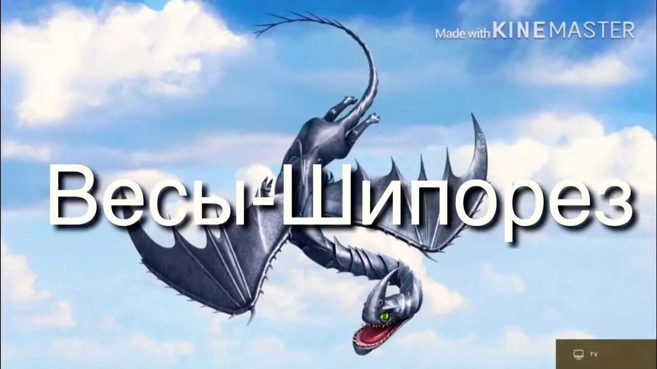 Драконы по знаку зодиака. Дракон змеевик громгильда. Кто ты из как приручить дракона по знаку зодиака. Тайфумеранг дракон. Как приручить дракона задирака.