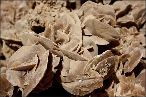 Desert rose на русском