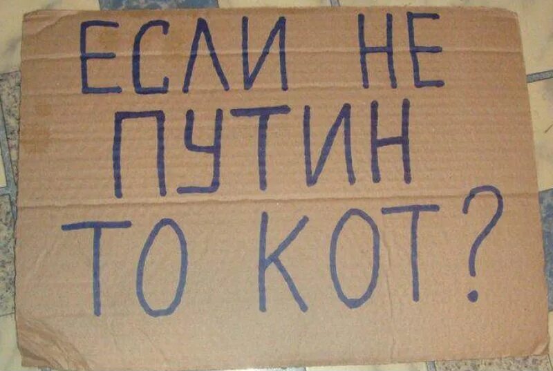 Если не он то кот. Политический кот. если не мы то кот.
