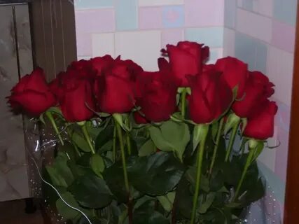 Цветы юле
