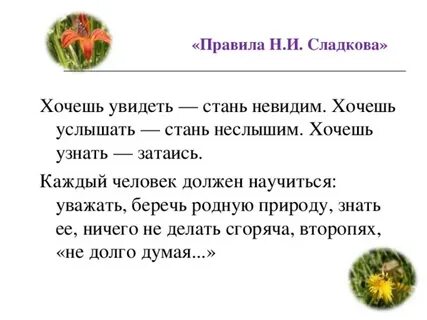 Запиши текст сладкова по законам письменной речи