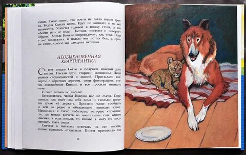 Чаплина рассказы