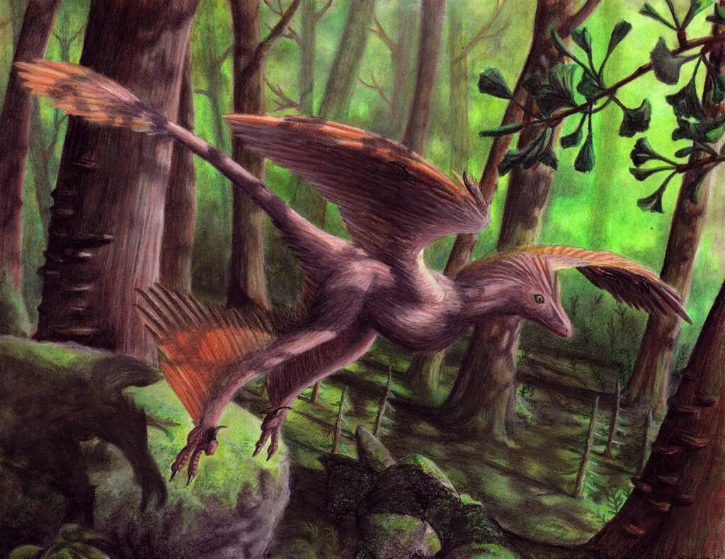 Микрораптор. Microraptor zhaoianus. микрораптор гуи. микрораптор динозавр. микрораптор планета динозавров.