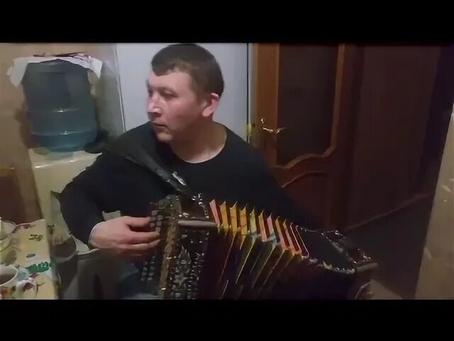 Гармонист ланин. Гармонист ланин