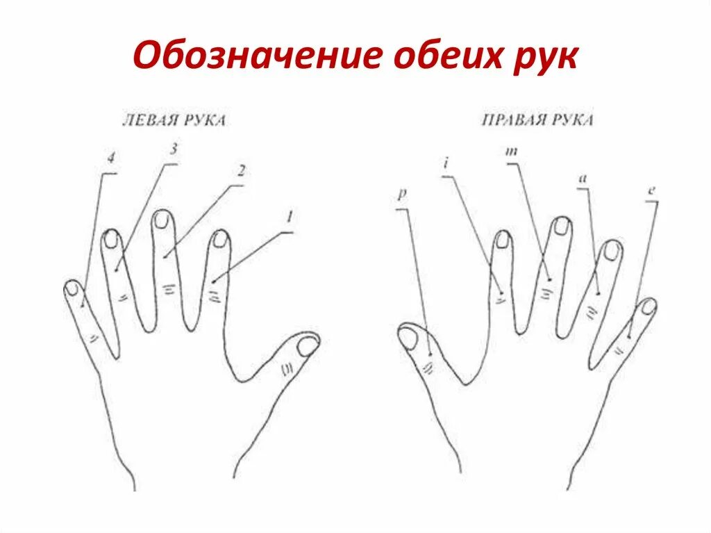 Пальцы на руке название на русском. Обозначение пальцев на гитаре. Обозначение пальцев правой руки при игре на гитаре. Обозначение пальцев на гитаре правая рука. Игра на гитаре с нуля самоучитель.