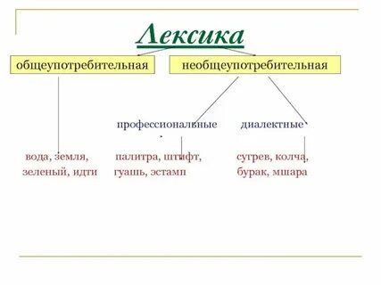 Урок общеупотребительные слова