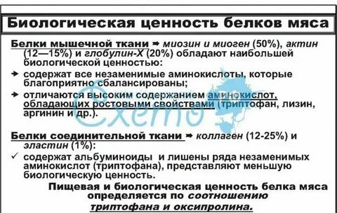 Биологическая ценность мяса