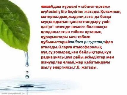 Экология және