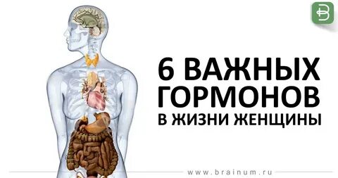 Гормоны жизни