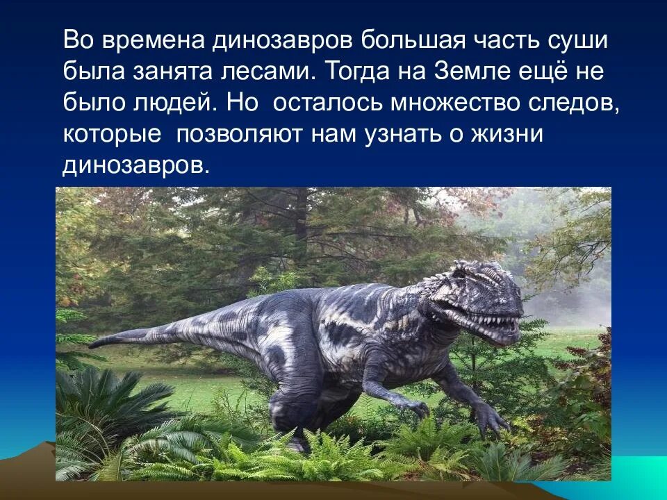 Сообщение о динозаврах