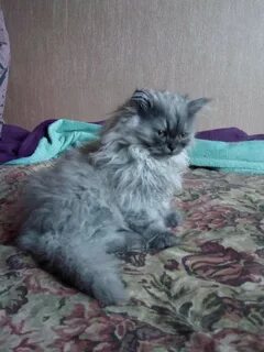 Нижний отдать
