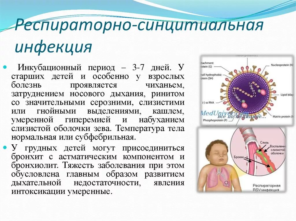 Дыхание при орви. Респираторно-синцитиальная инфекция у детей. Симптомы респираторно синцитиальной инфекции у взрослых. Респираторно синцитиальная инфекция клинические признаки. Симптомы респираторно синцитиальной инфекции у детей.